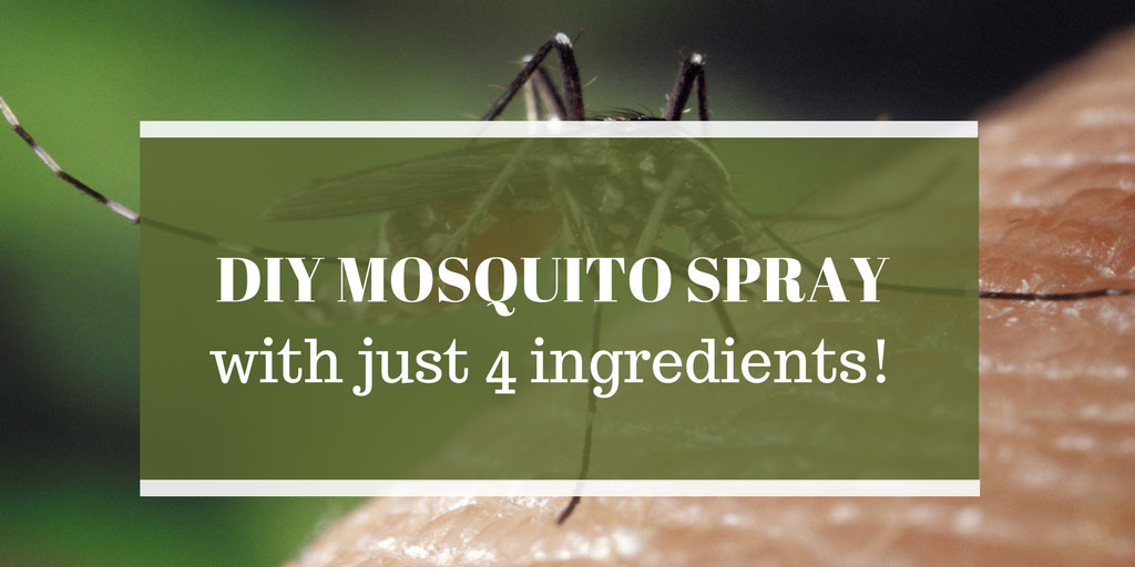 Homemade Mosquito Spray using Essential Oils
