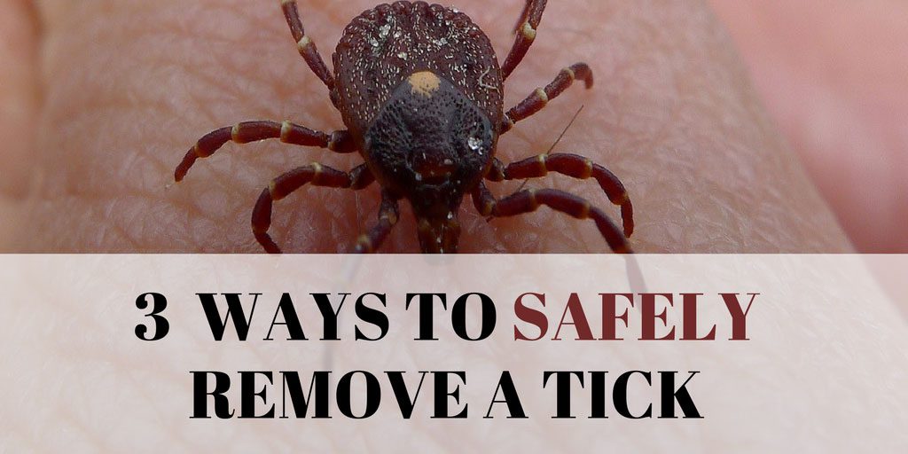 3 Ways to Safely Remove a Tick