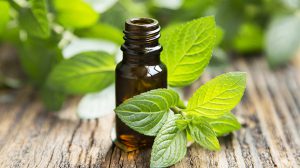 Immune Boosting Essential Oils for Fall- Peppermint Oil