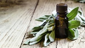 Immune Boosting Essential Oils for Fall- Sage