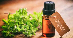 Immune Boosting Essential Oils for Fall- Oregano Oil