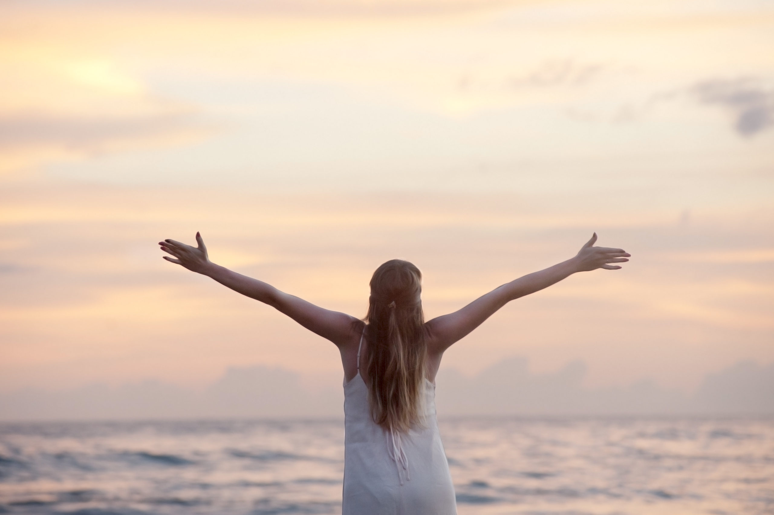 Ribes Nigrum- The Holy Grail of Anxiety and Adrenal Relief